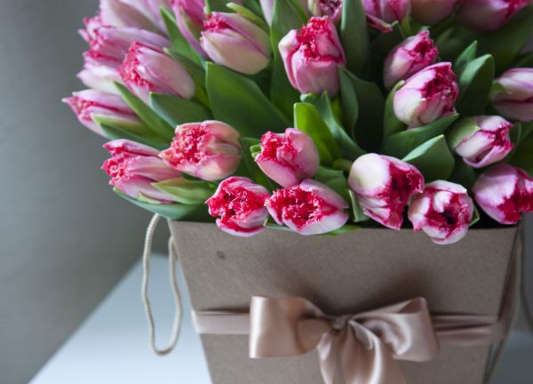 Гипсолюбка Аромат из Букеты тюльпанов Гипсофилы взять из доставкой во Львове