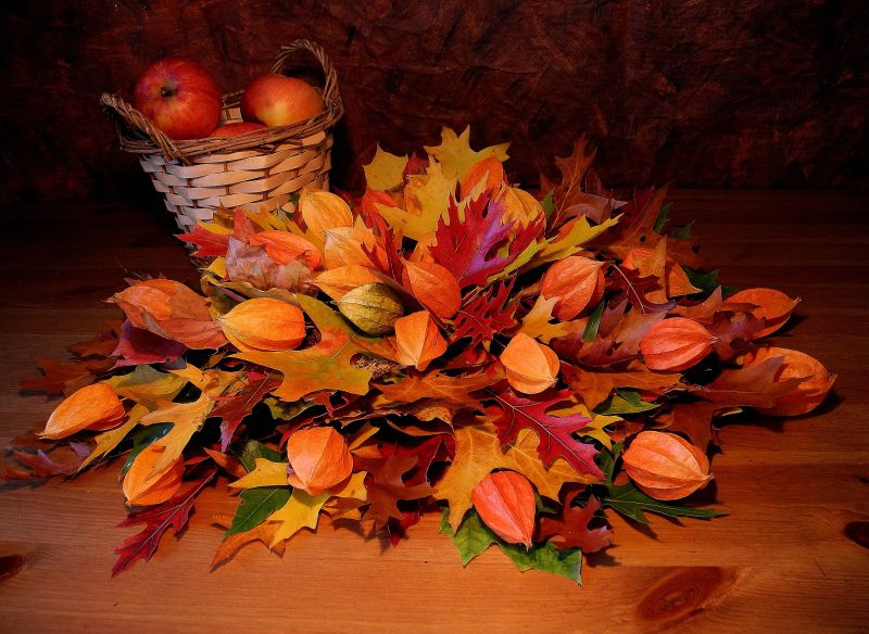 Осенние Листья Букет Фото