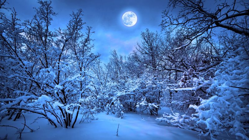 Фото Ночной Зимы